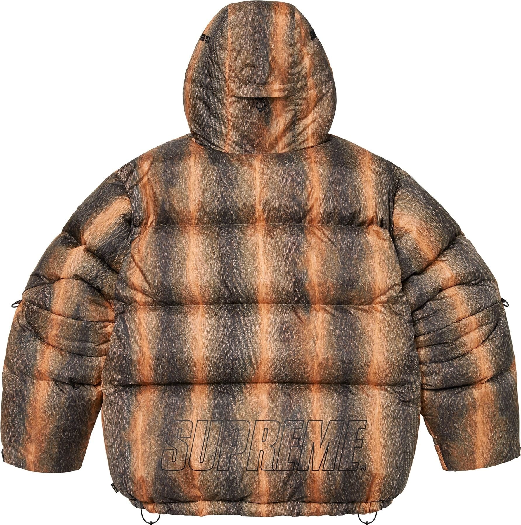 GORE-TEX 900-Fill Down Parka view 18